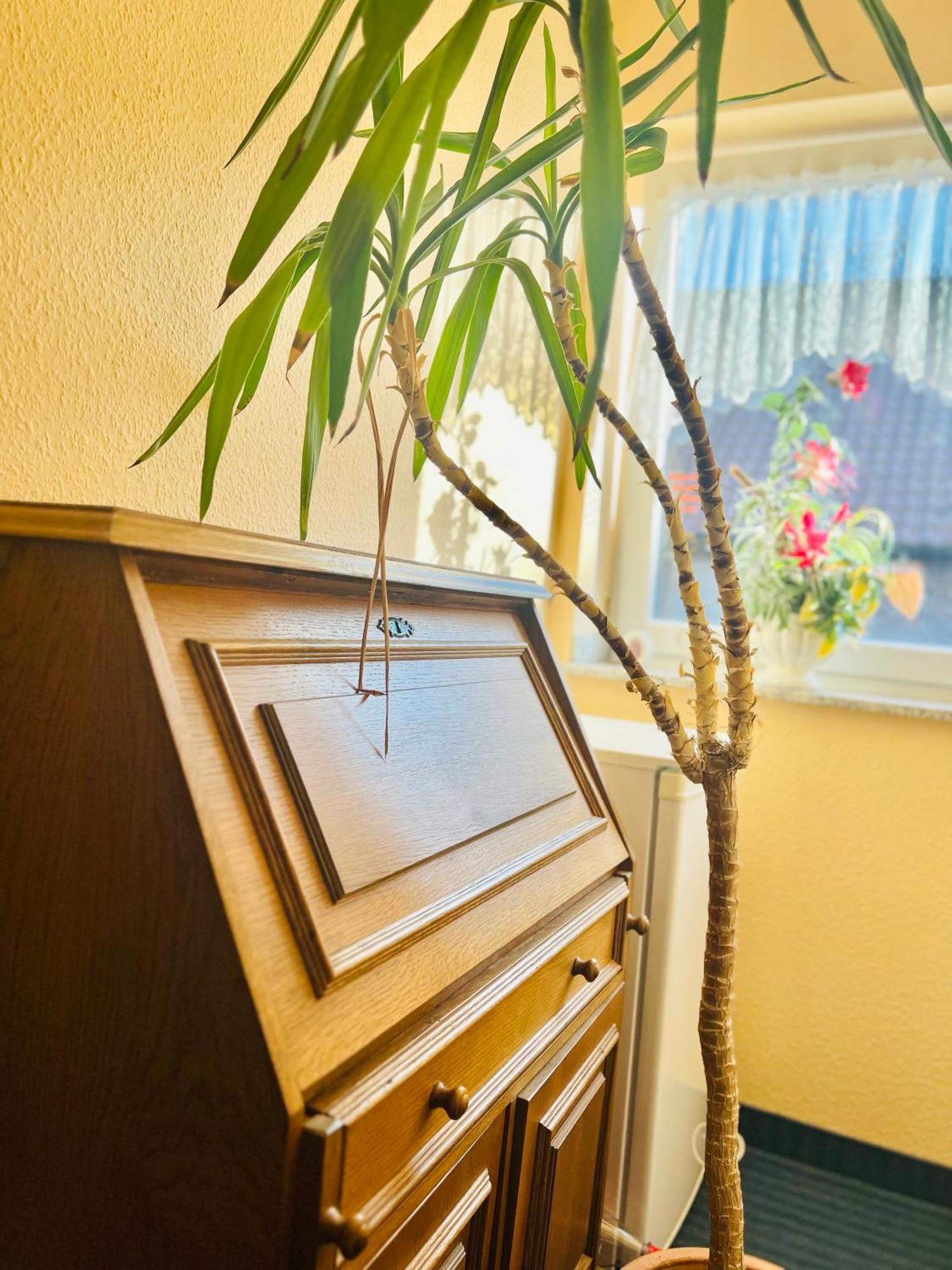 Tm Hotel Westfalen Люнен Экстерьер фото